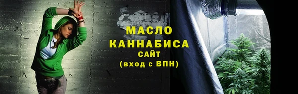 твердый Ельня