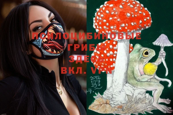 кокаин колумбия Елабуга