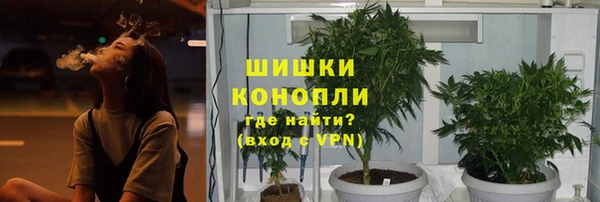 соль курить ск Каменногорск