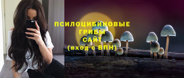 мескалин Елизово