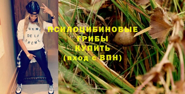 твердый Ельня