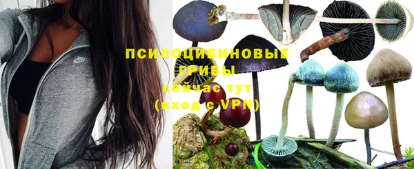 мескалин Елизово