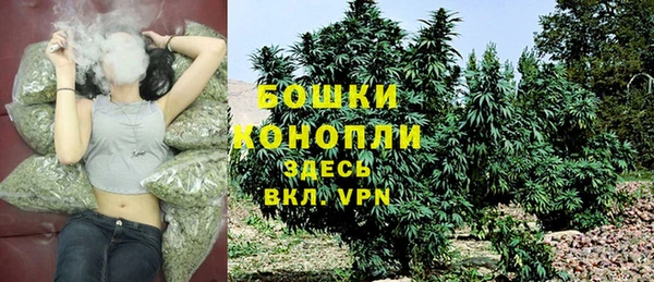 твердый Ельня