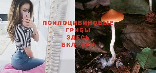 твердый Ельня