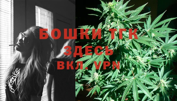 твердый Ельня