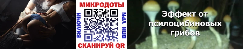 Псилоцибиновые грибы Psilocybe  Купить  Заречный 